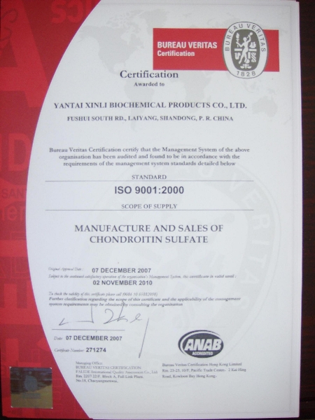 2007年12月质量体系认证ISO9001（英文）