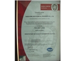 2010年11月质量体系认证ISO9001（英文）
